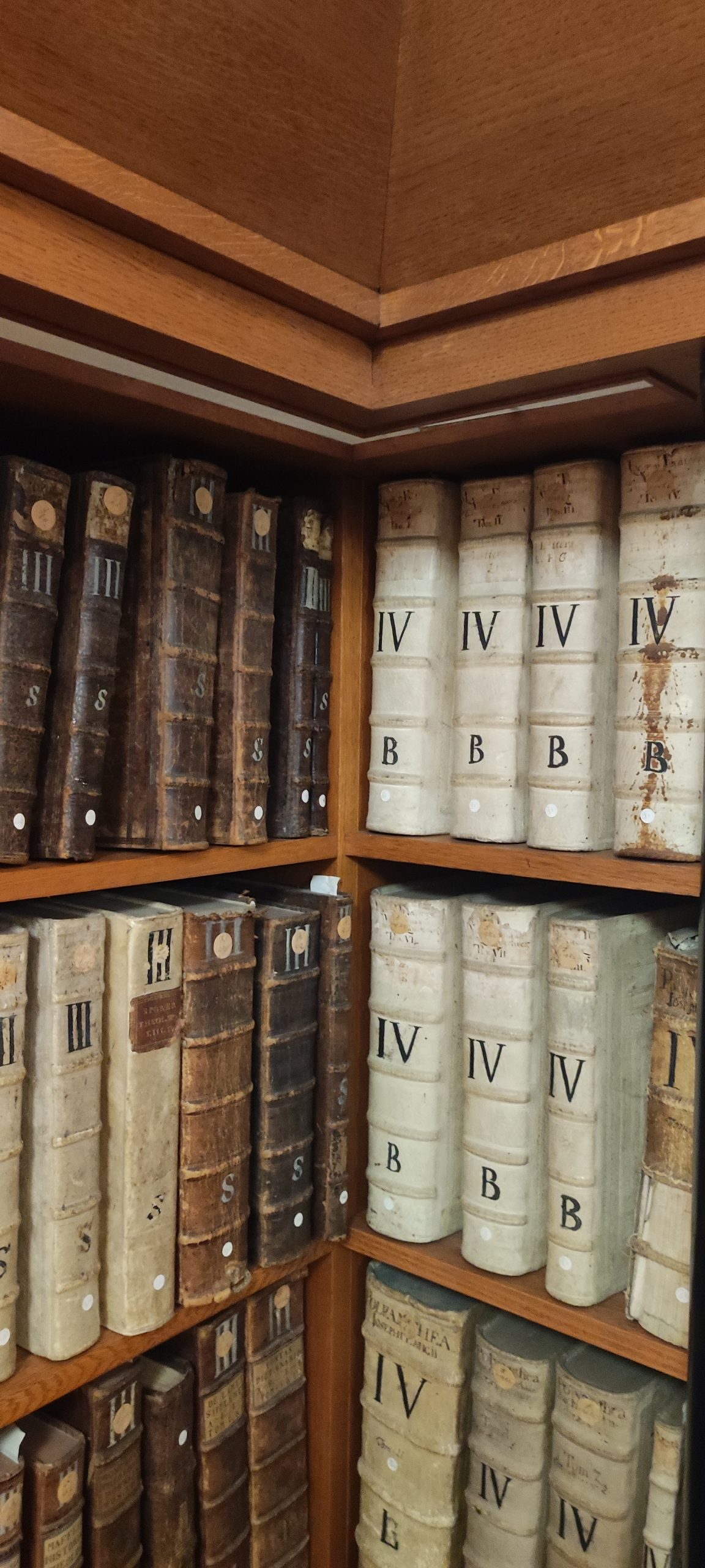 Kulturni dan s srčki v Kamniku